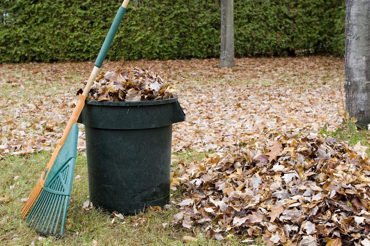 Rake leaning against wheelbarrow full of leaves